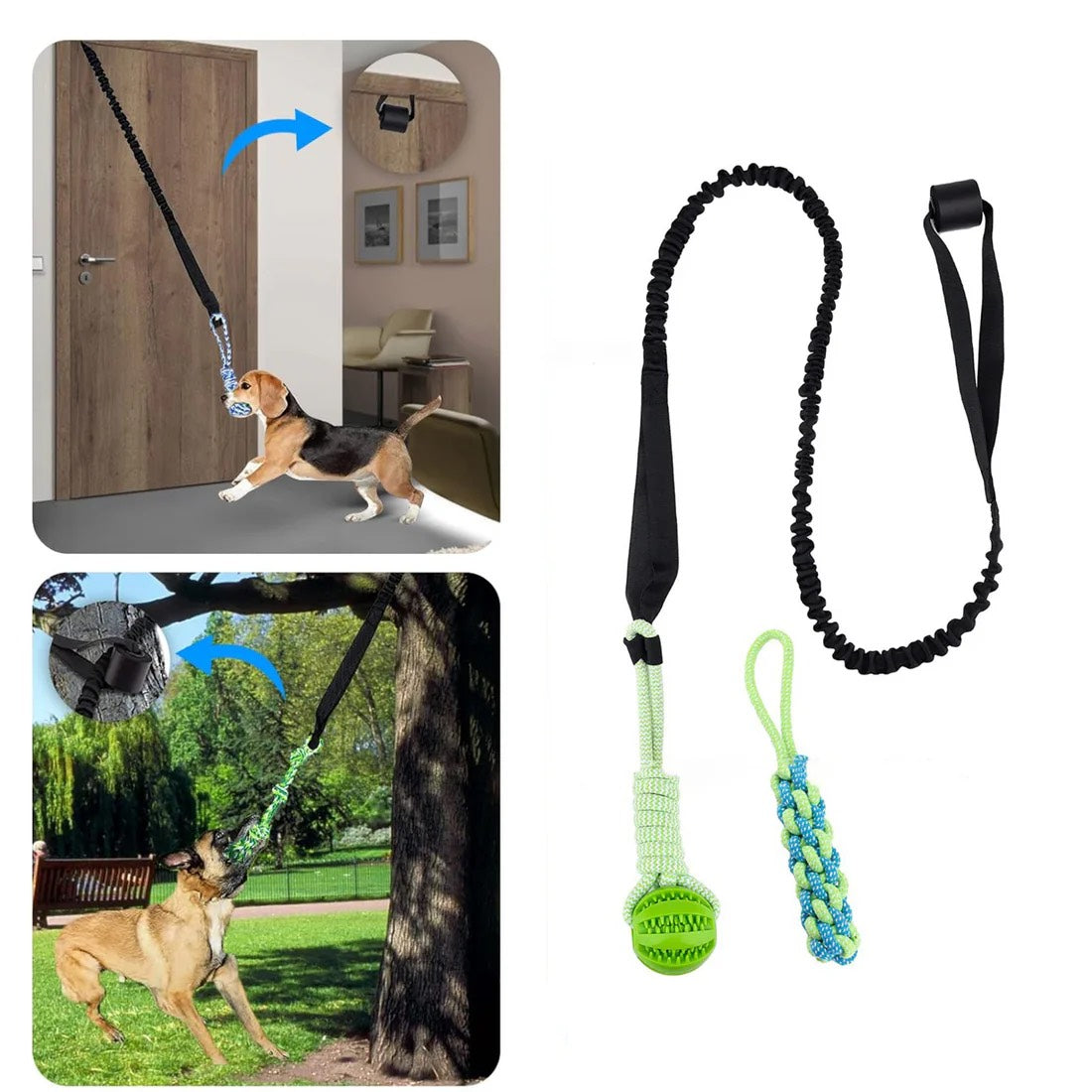 Jouets pour chiens - TUG DENT™️